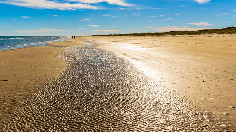 South Padre Island beach during the day