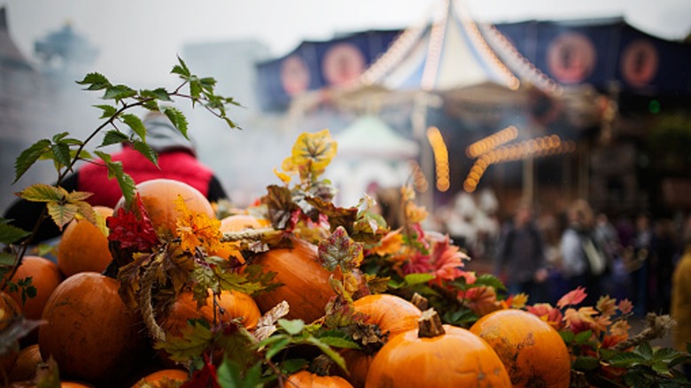 pumpkin patch in theme park