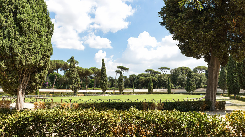 Trees in the Villa Borghese Gardens