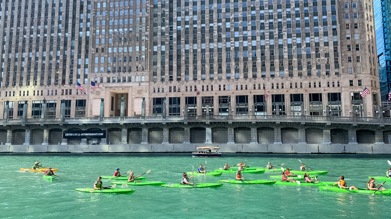 Kayakers paddle on Chicago River