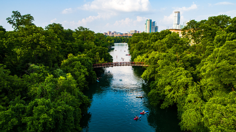 Paddlers on Lady Bird Lake