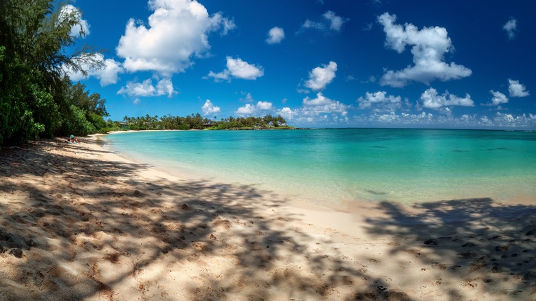 Beach on Oahu north shore