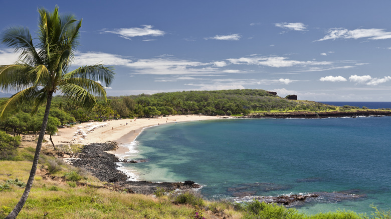 Manele Bay on Lanai