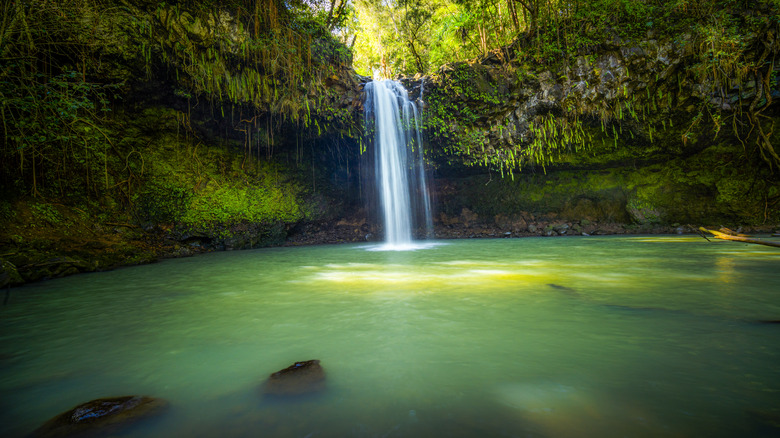 Twin Falls in Maui