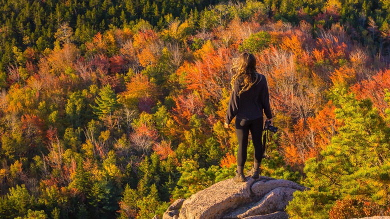 hiker beehive ledge autumn acadia