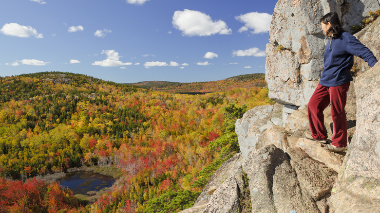 woman cliffside acadia fall leaves