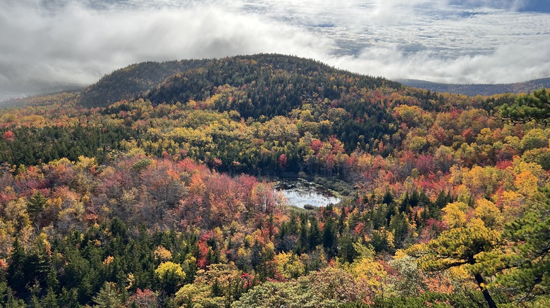 acadia precipice view autumn