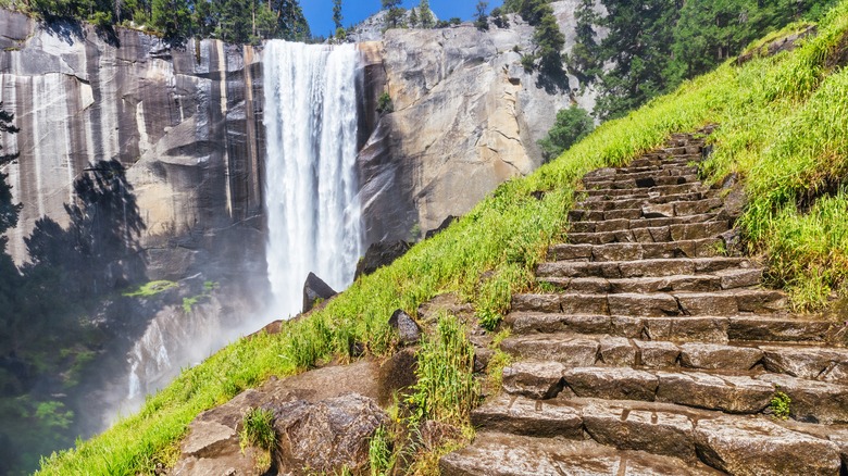 Steps on the Mist Trail 