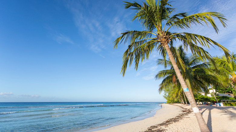 Barbados beach