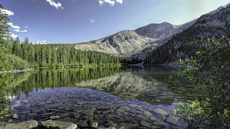 Clear river in Colorado with lush greenery and a mountain in the background