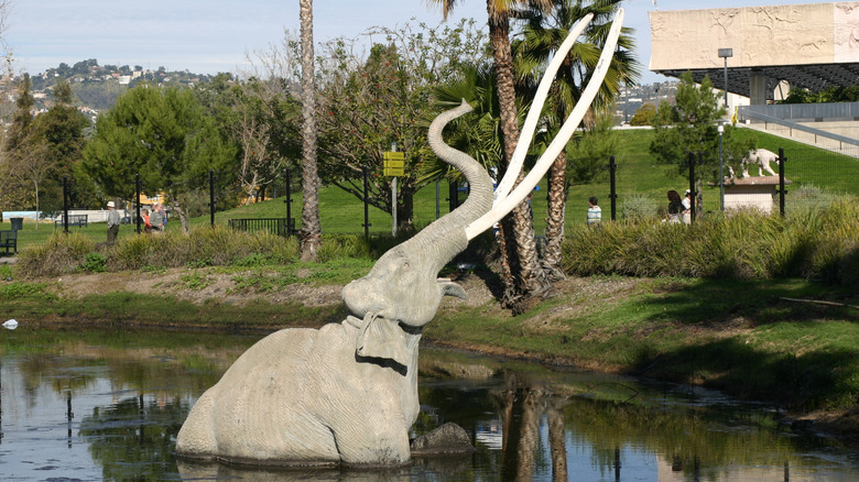 La Brea Tar Pits Museum mammoth model