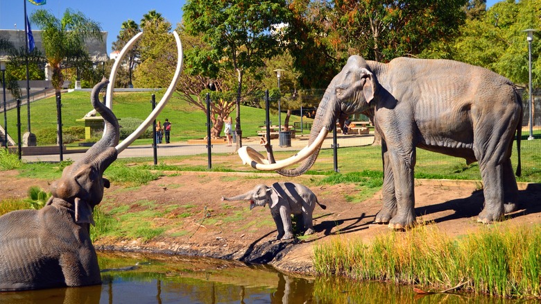 Model woolly mammoths in and around tar pit