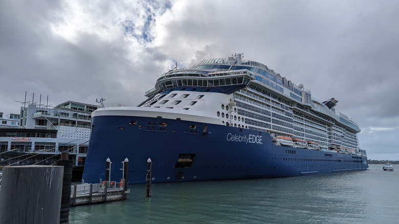 Cruise ship docked in Auckland, NZ