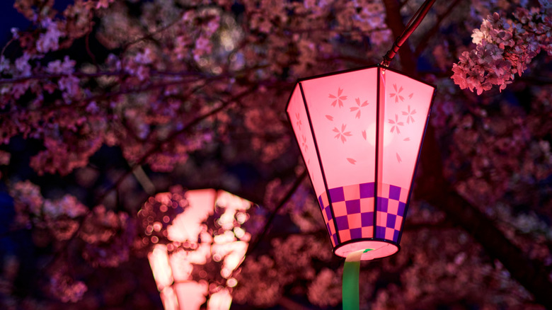 Decorative lanterns for yozakura during the flower viewing festivals across Japan.