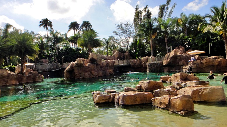 Discovery Cove in Orlando