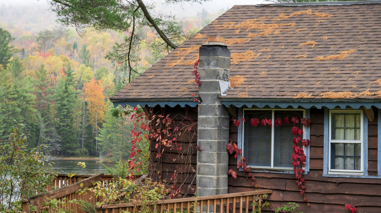 Cozy lakefront cabin in the Adirondacks region