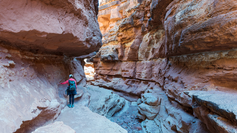 A person navigating the narrow canyon ledge at Cathedral Wash Trail