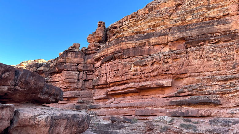 The rugged red wall of Cathedral Wash Trail