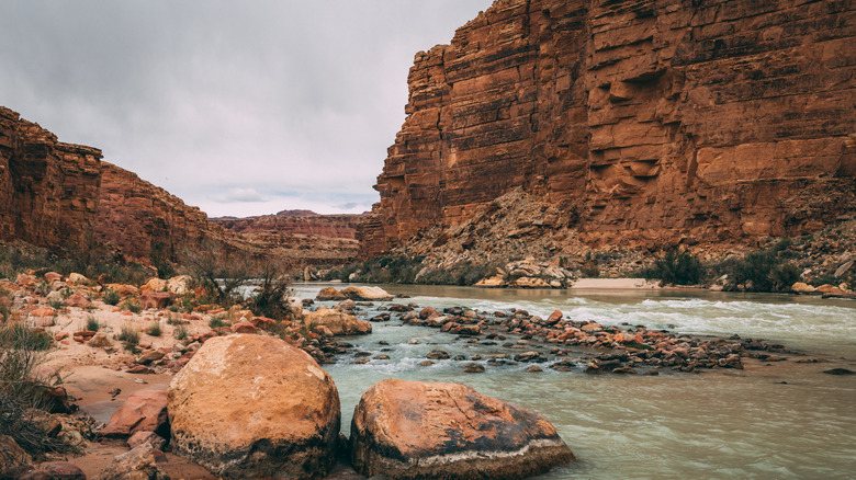 The beautiful blue Colorado River at the end of the Cathedral Wash Trail