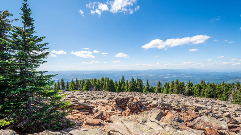 View from Mount Spokane summit