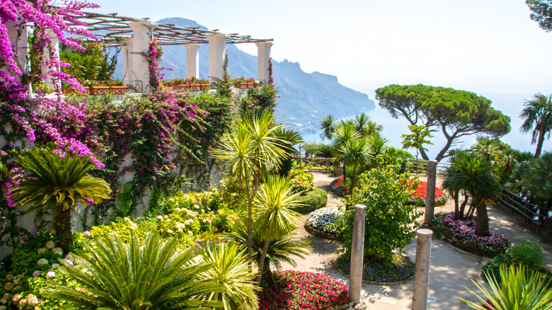 Mediterranean garden overlooking the sea.