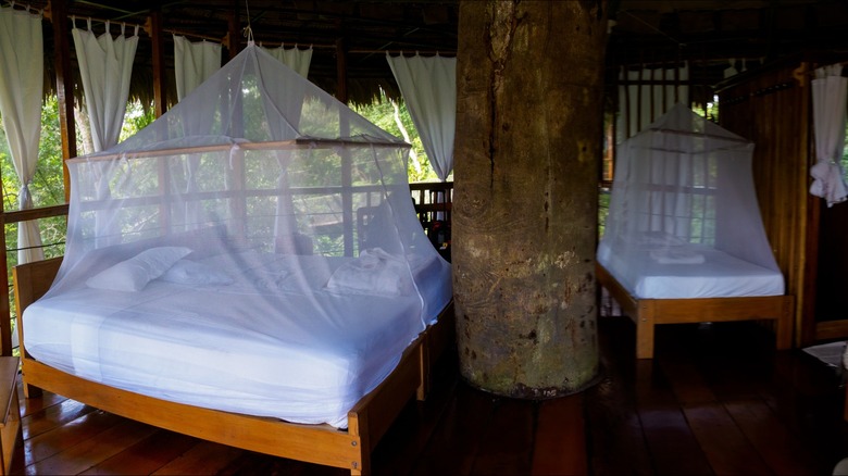 Beds in treehouse covered in mosquito nets in Peruvian Amazon