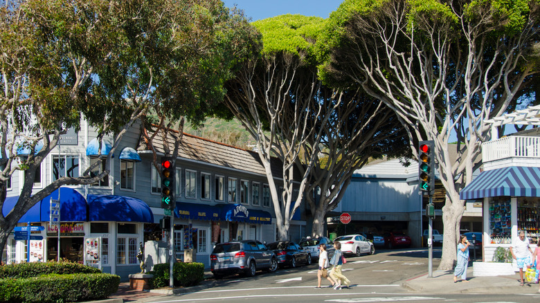 Trees and shops along Downtown Laguna Beach