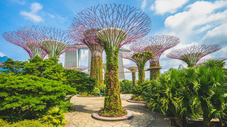 Gardens by the Bay in Marina Bay in Singapore