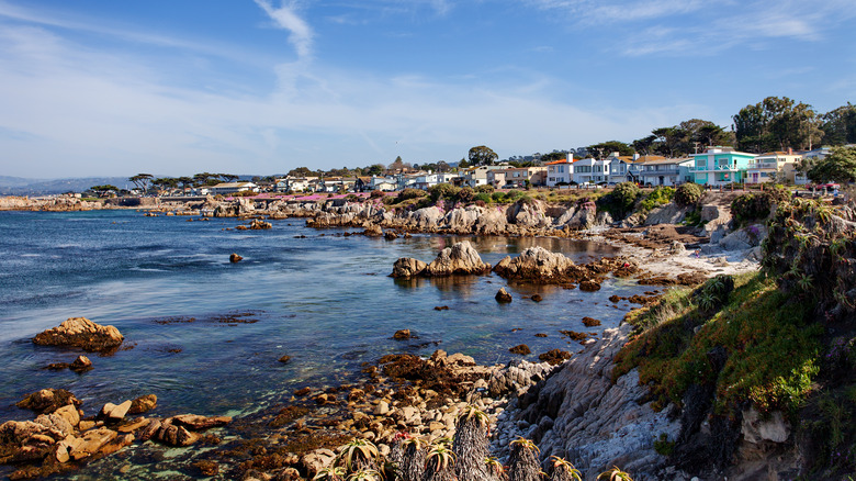 The rocky shoreline and houses in Monterey, California