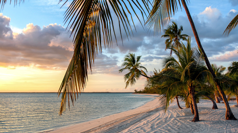 Beach sunset on Andros Island