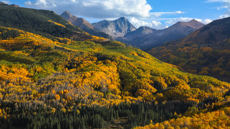 Snowmass in the fall