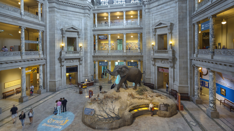 National Museum of Natural History