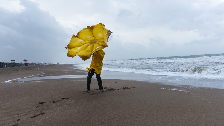 Person on a stormy beach