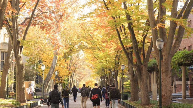 Students walking under fall foliage