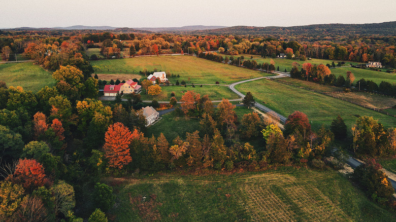 Aerial view of fall foliage