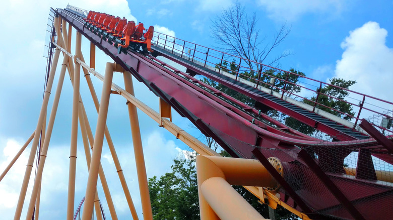 Kings Island roller coaster