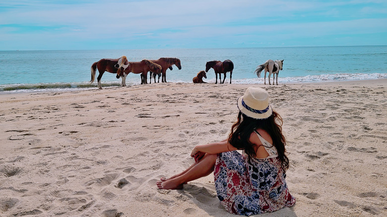 Woman watching ponies in Chincoteague