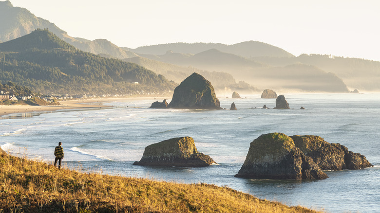 Haystack Rock in Cannon Beach