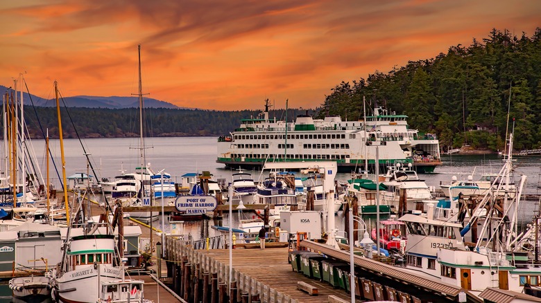 Friday Harbor dock at sunset