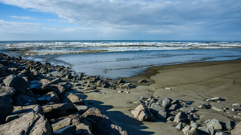 rocky beach in Ocean Shores