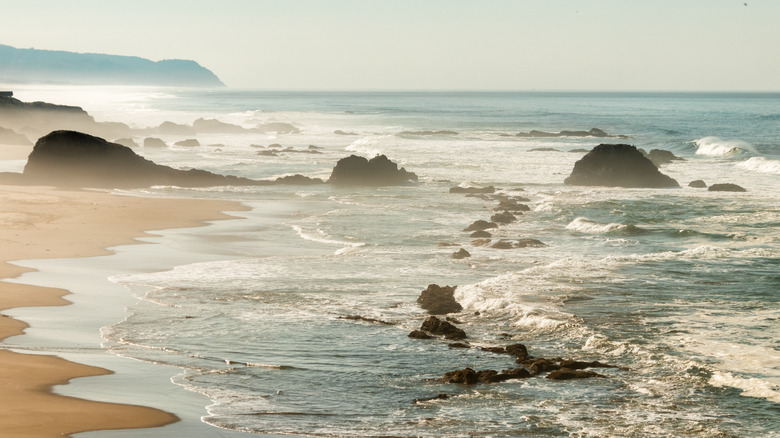 ocean in Waldport