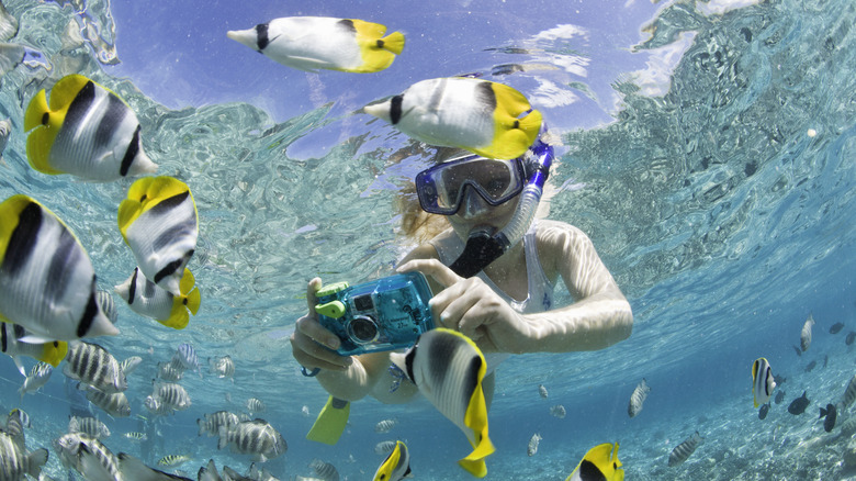 Young boy photographs tropical fish underwater