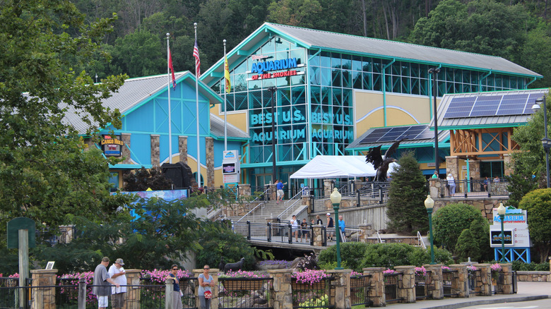 Ripley's Aquarium of the Smokies