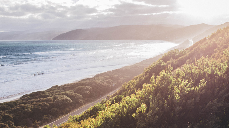 Sweep of Fairhaven Beach, Australia