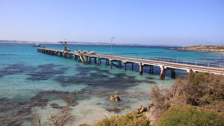 Jetty at Vivonne Bay