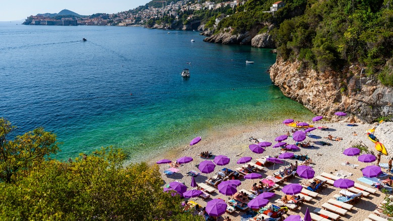 purple umbrellas on Sveti Jakov