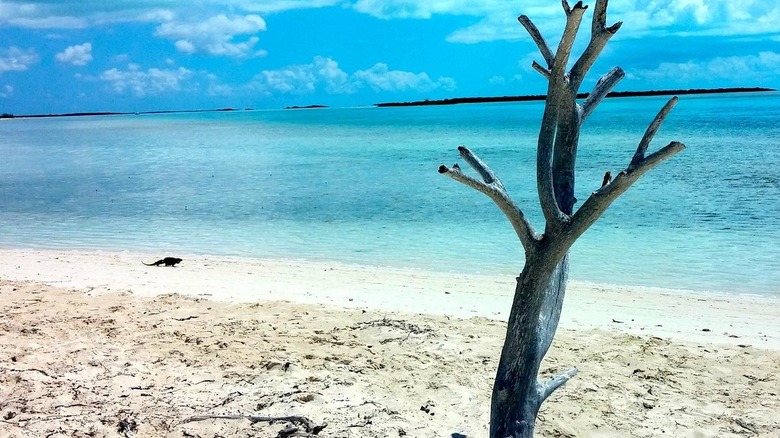 Water Cay in Turks and Caicos