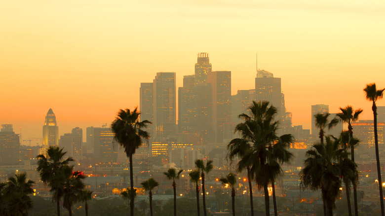 Los Angeles skyline with palm trees