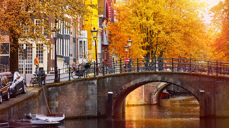 Autumn colors in Amsterdam