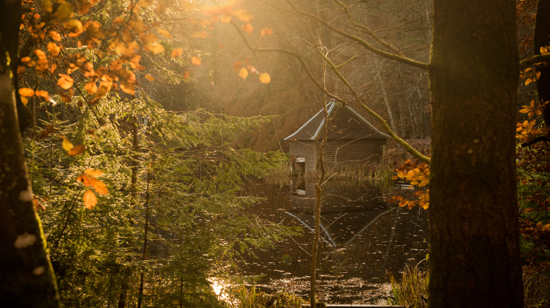 A cabin in Perthshire, Scotland